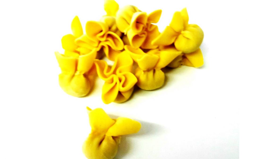 Fagottini al Vitello e Parmigiano